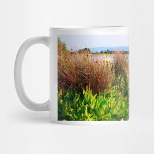 Wild Meadow by the Lake. Shoreline Park 2011 Mug